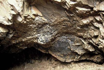 Close-up of a rock wall

AI-generated content may be incorrect.
