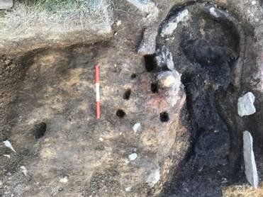 A close-up of a rock

AI-generated content may be incorrect.